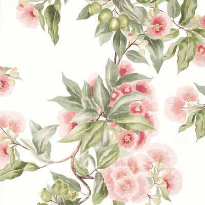 Anna French Camellia Garden Wallpaper in Coral